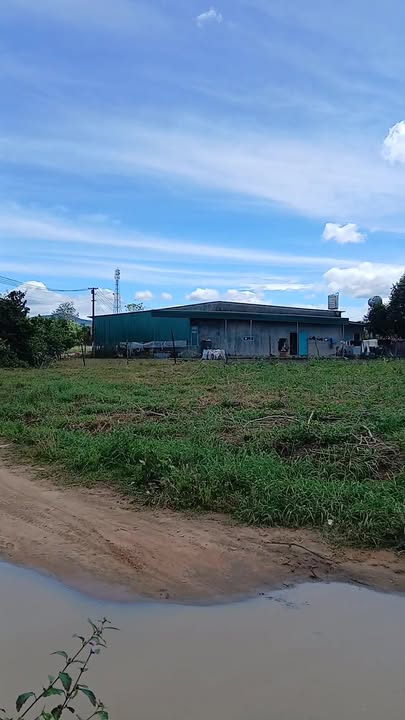 Đất ở thôn Tân Lập A, xã Đắk Ring, 270m² - Đầu tư sinh lời ngay!