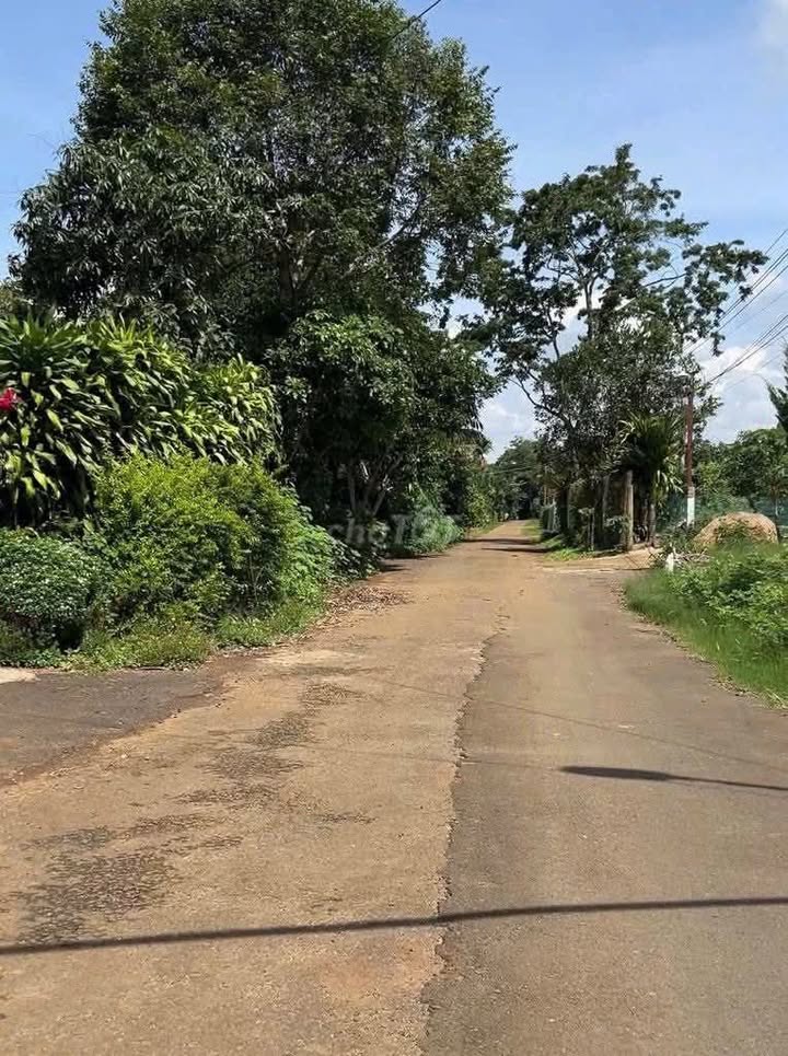 Đất nền Lộc An, Bảo Lâm 6200m² giá 6.2 tỷ - Đầu tư sinh lời ngay!