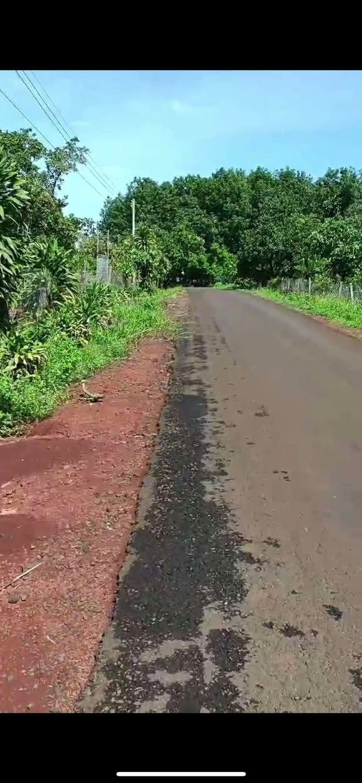 Đất nền Nghĩa Trung Bù Đăng 350m² giá chỉ 520 triệu - Mặt tiền đường nhựa thuận lợi!