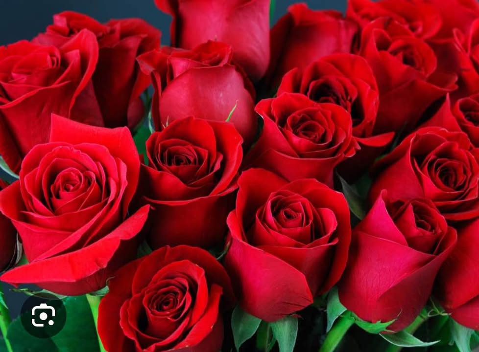 Đất nền An Viễn Trảng Bom 1000m² giá 1.399 tỷ - Cơ hội đầu tư tuyệt vời!