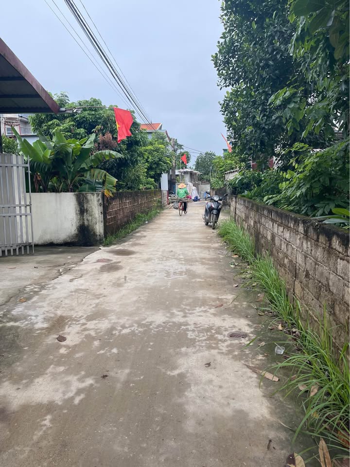 Đất nền Xuân Mai 870m² giá đầu tư cực tốt - Lô góc 3 mặt đường ô tô!