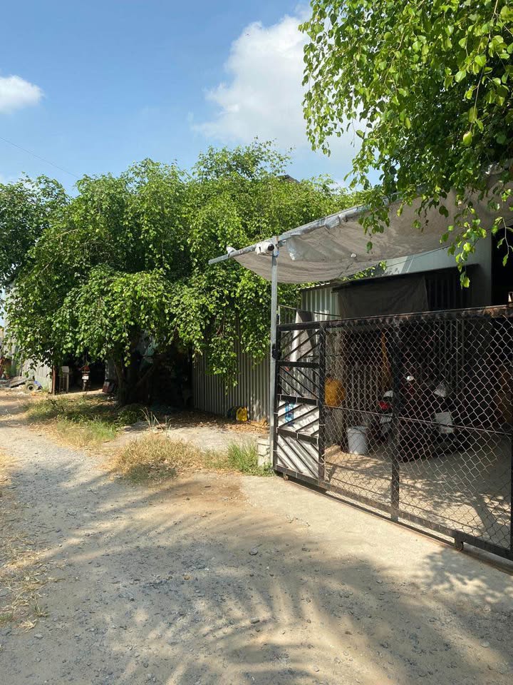 Đất mặt tiền Quốc lộ 91A, Ô Môn Cần Thơ 3300m² - Đầu tư sinh lời tuyệt vời!