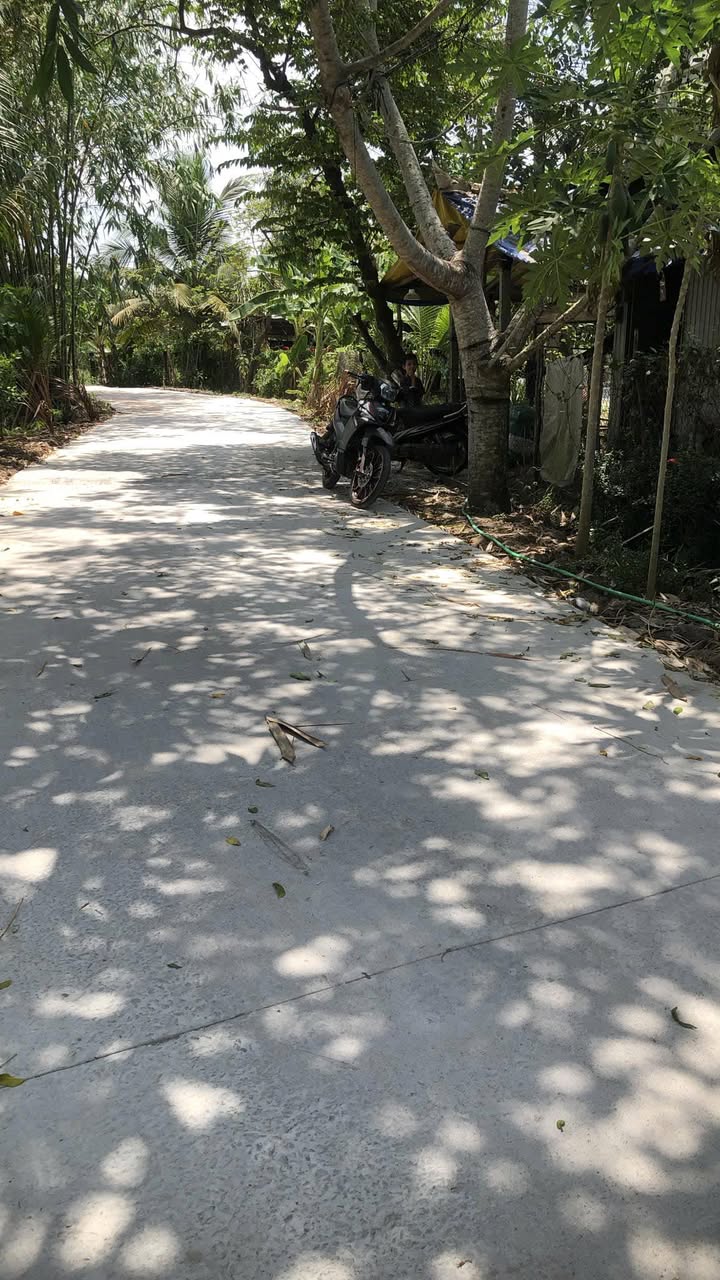 Đất Farm Thới An Ô Môn 10.000m² giá thỏa thuận - Mặt tiền rộng, gần chợ!