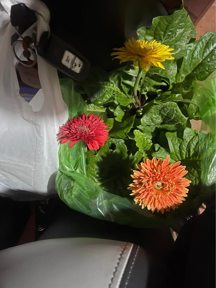 FrontHouse đường Trung Dũng, Phù Liễn, 70m² giá 3 tỷ - Lô góc đẹp, đầu tư sinh lời!