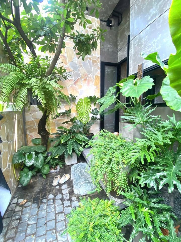 Nhà phố Phú Hữu 63m² giá thương lượng - Thiết kế lệch tầng độc đáo!