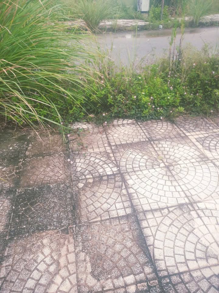 Lô đất An Hưng Thanh Hóa 95m² giá 3 tỷ - Sổ đỏ chính chủ, vị trí đắc địa!