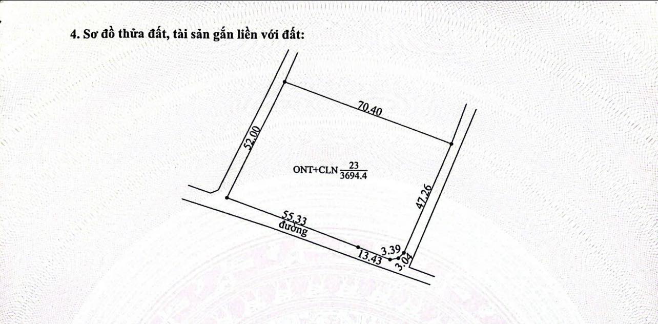 Đất nền Tân Sỏi Bắc Giang 3694m² giá chỉ 7.388 tỷ - Cơ hội đầu tư sinh lời cao!