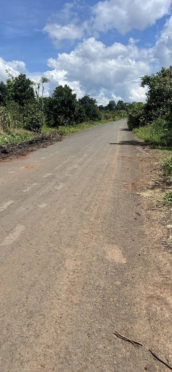 Đất nền 1ha tại Quảng Hiệp, Cư M'gar 3.15 tỷ - Đầu tư sinh lời ngay!