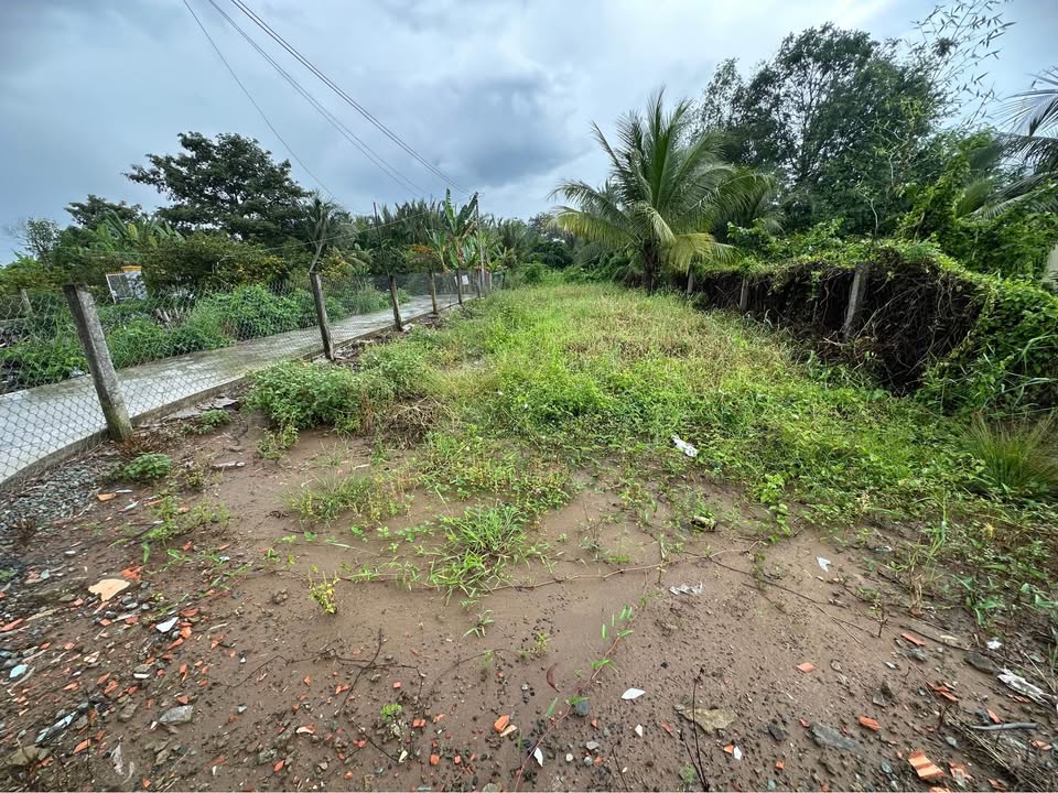 Lô đất thổ cư 192,7m² 2 mặt tiền hẻm đường Lê Thị Trâm - Chính chủ bán gấp!