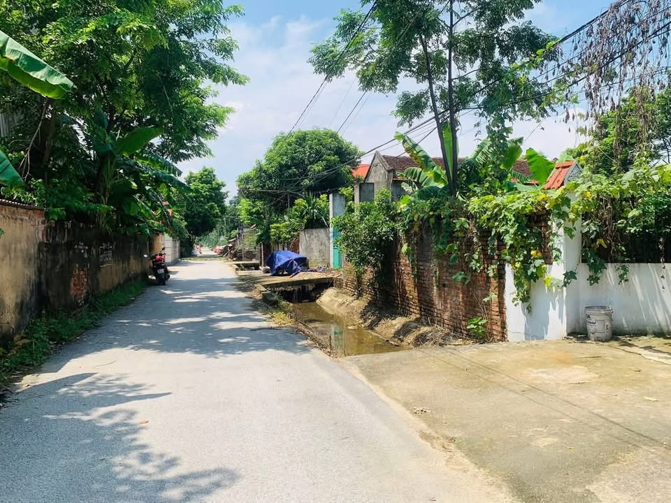 Đất thổ cư 443m² tại thôn Hoàng Thượng, Vĩnh Tường - Đầu tư sinh lời tuyệt vời!