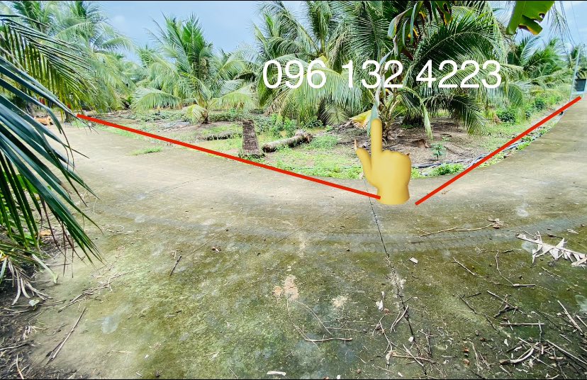 Đất vườn dừa 1,5 công tại Hữu Định, Châu Thành - Giá 2 tỷ, vị trí đẹp!