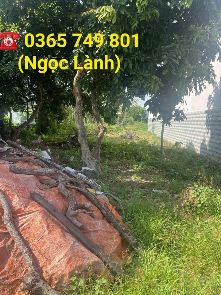 Bán gấp FrontHouse mặt tiền QL57b, xã Định Trung, huyện Bình Đại - 1.2 tỷ, đất thổ cư 56.8m²