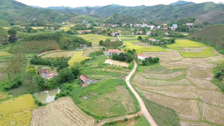 Đất thổ cư 656m² tại Gốc Bòng, Yên Thế - Giá cực rẻ chỉ vài trăm triệu!