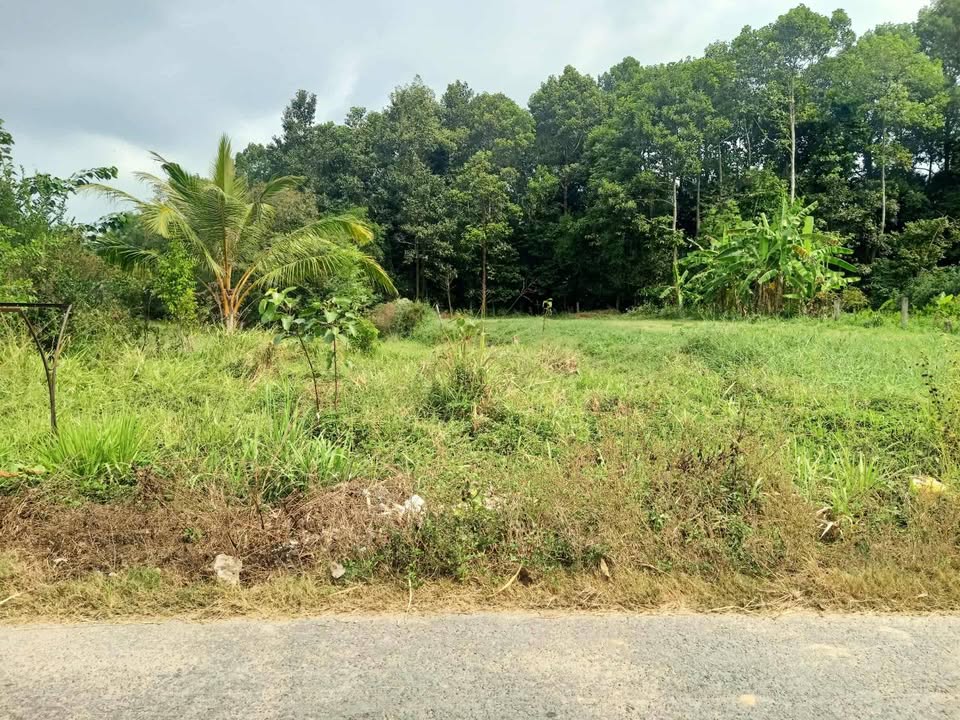 Đất nền mặt tiền nhựa ấp Ba Se A, Lương Hòa, Châu Thành 85m² giá 390 triệu - Cơ hội đầu tư tuyệt vời!