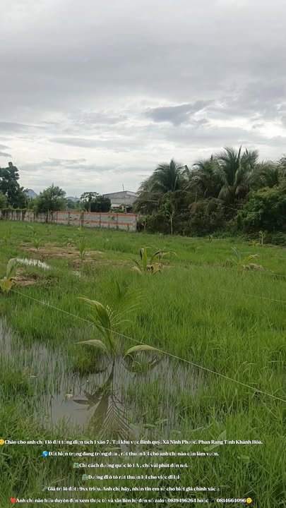 Đất vườn Ninh Phước, Khánh Hòa 1700m² giá 900 triệu - Cơ hội đầu tư tuyệt vời!