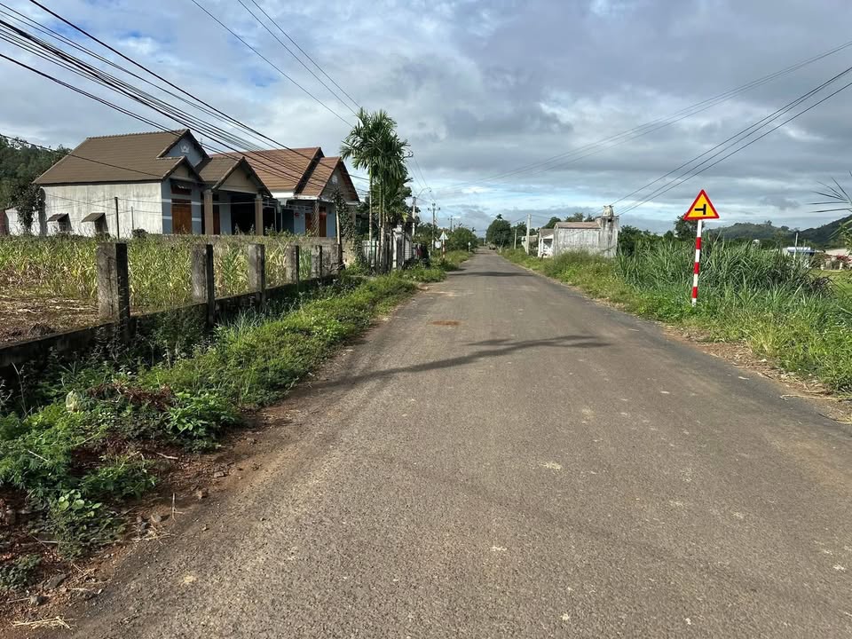 Đất nền liền kề mặt tiền đường nhựa Sơn Thọ Dur Kmal 247m² giá 1.633 tỷ - Đầu tư sinh lời ngay!