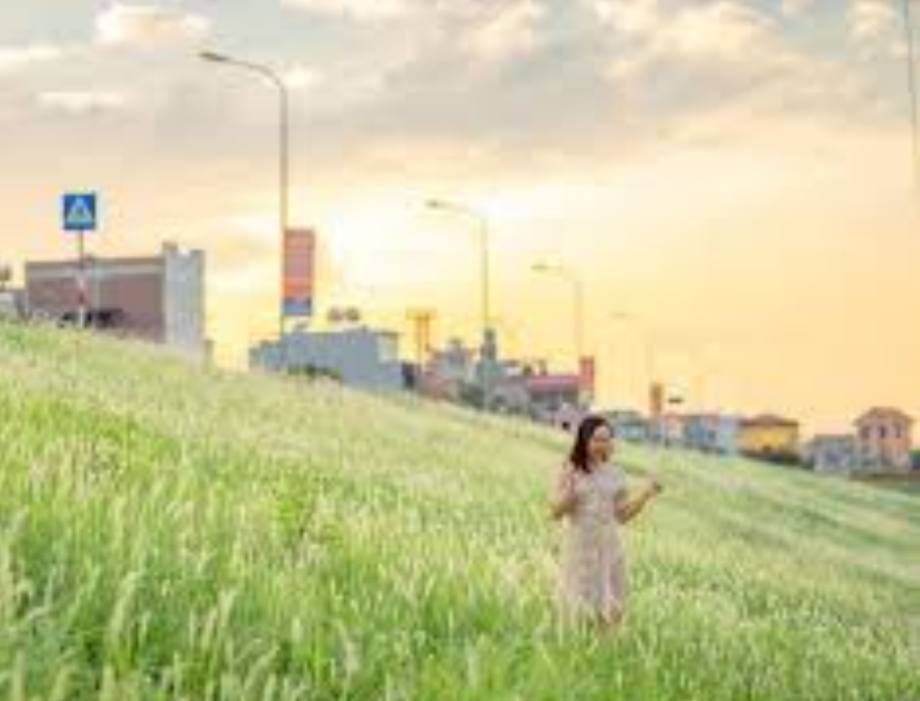 Đất tặng nhà Ngọc Thụy Long Biên 150m² giá 11.6 tỷ - Cơ hội đầu tư tuyệt vời!