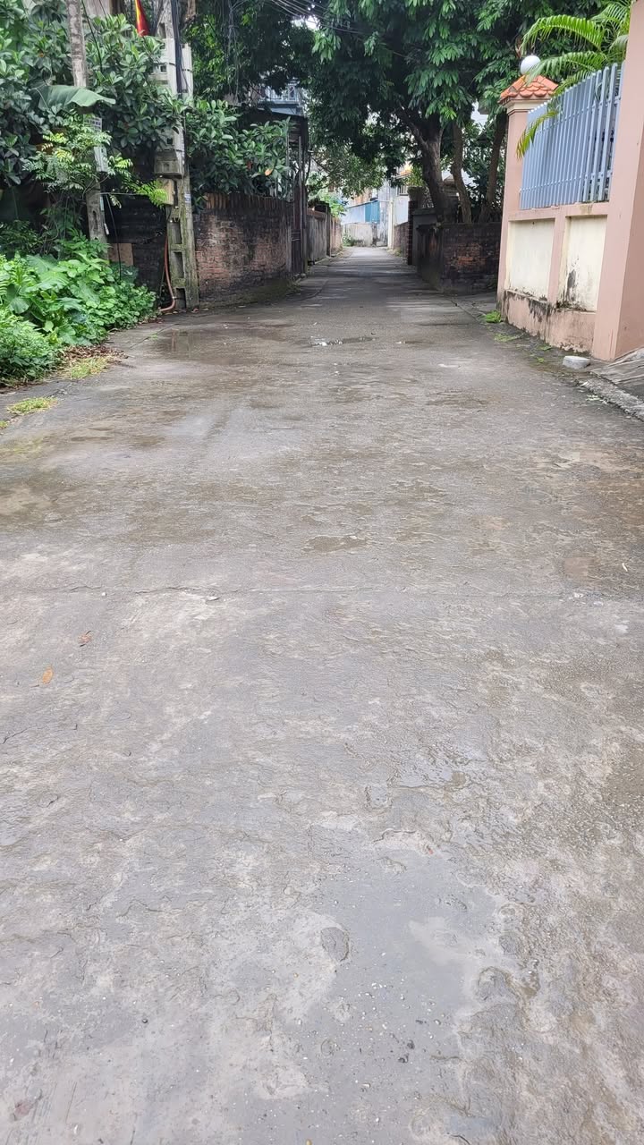 Đất Sổ đỏ 98m² tại Như Quỳnh, Hưng Yên - Vị trí đẹp ô tô đỗ cửa!