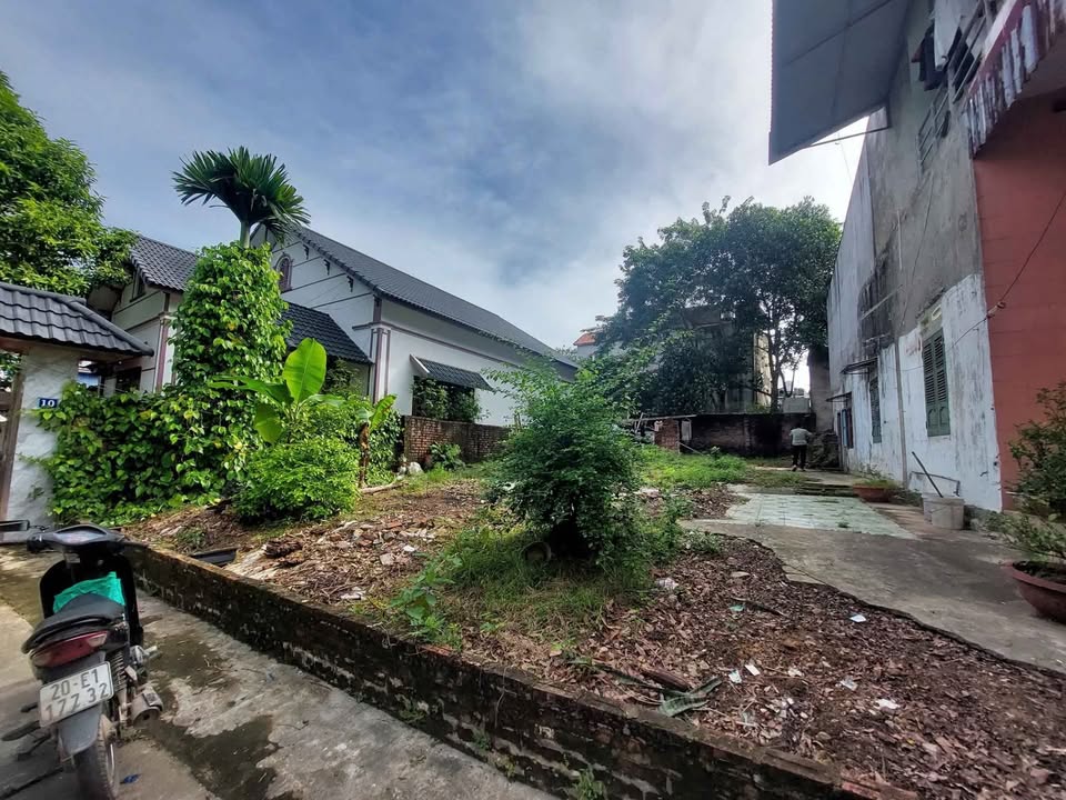 Lô đất Phú Xá 200m² giá 3 tỷ - Sổ đỏ chính chủ, đầu tư sinh lời!