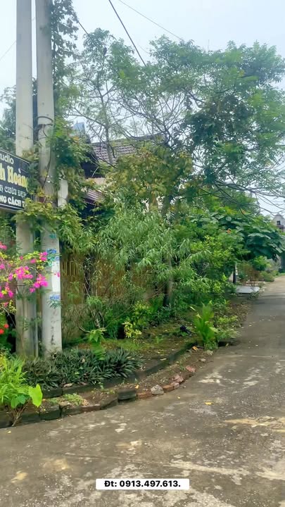 Biệt thự 2 mặt tiền Vĩnh Phúc 240m² - Giá tốt cần bán gấp!