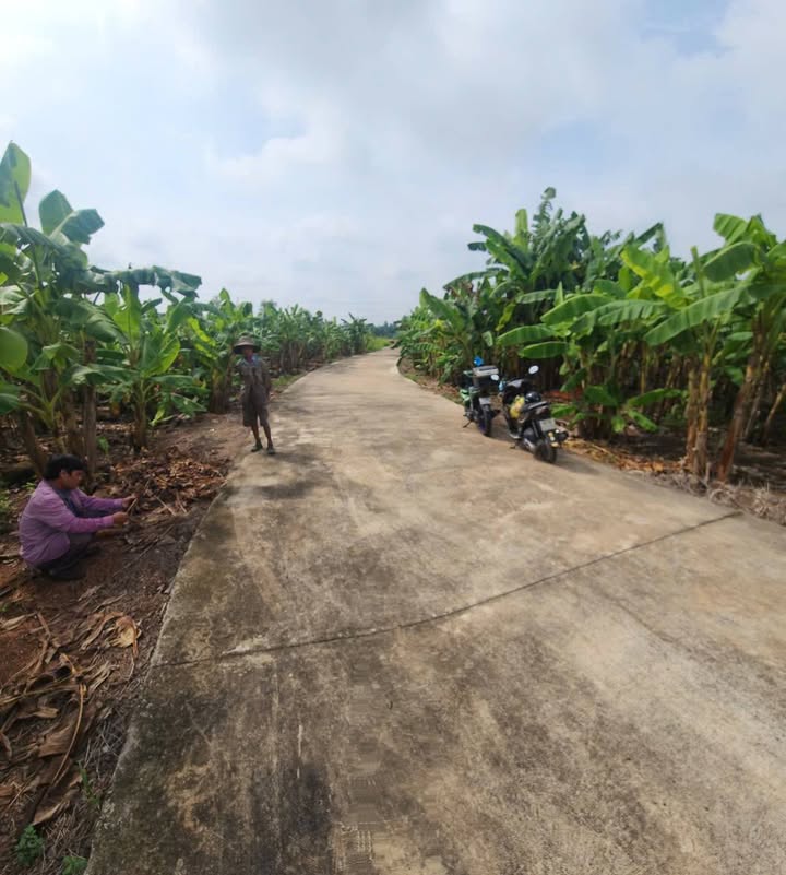 Đất nền Tân An, Vĩnh Cửu 2200m² giá 1.76 tỷ - Sổ riêng chính chủ!