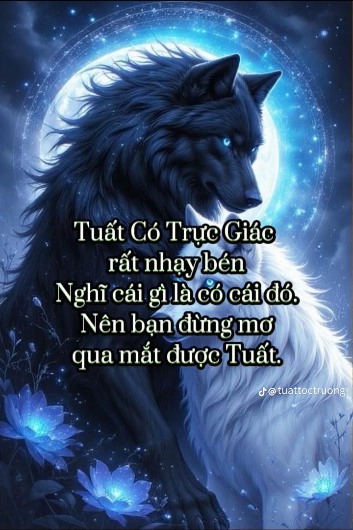 Đất nền Phước Hiệp Tuy Phước 105m² giá thỏa thuận - Khu dân cư hiện hữu!