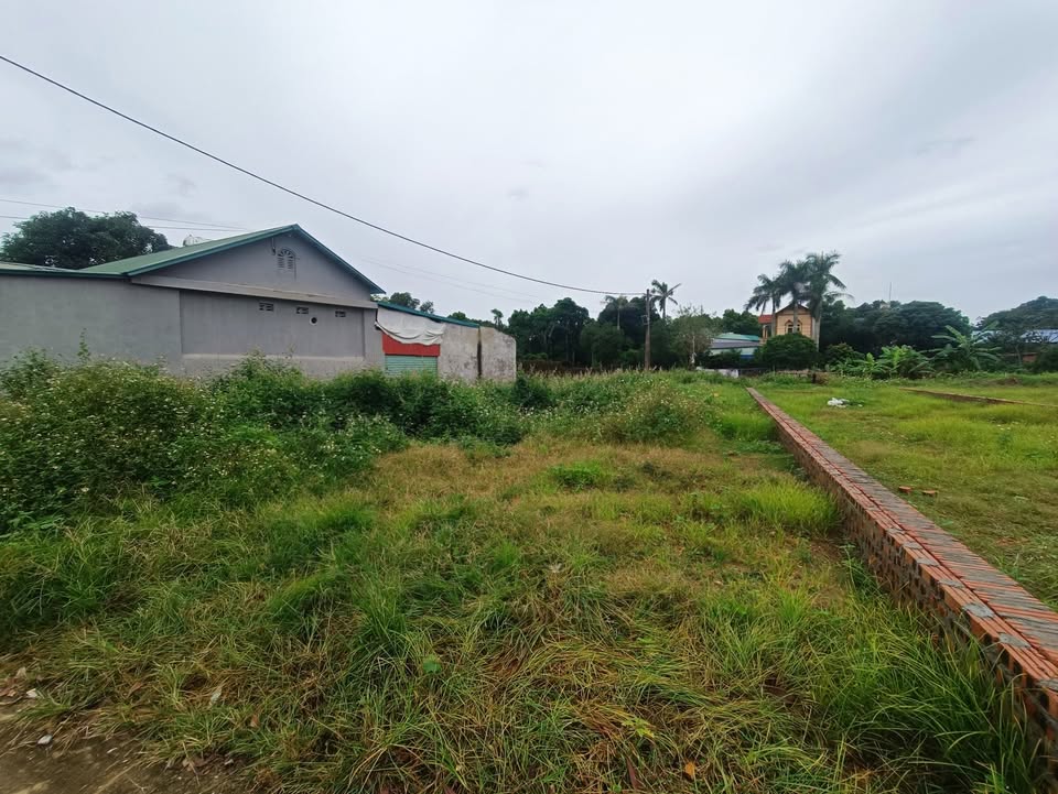 Đất nền Minh Phú, Sóc Sơn 98m² giá chỉ 1 tỷ - Cơ hội đầu tư tuyệt vời!