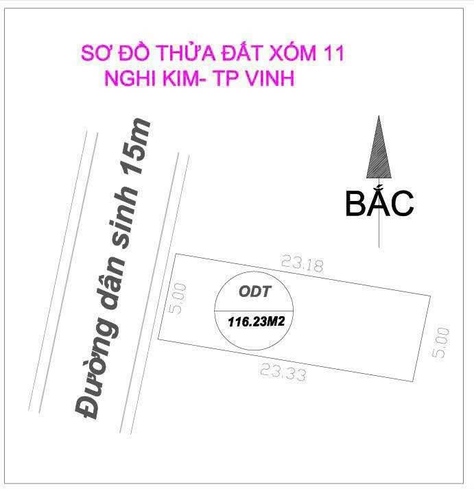 Đất mặt đường Nhân Nghĩa Nghi Kim 116m² giá 3 tỷ - Vị trí đắc địa gần trung tâm!