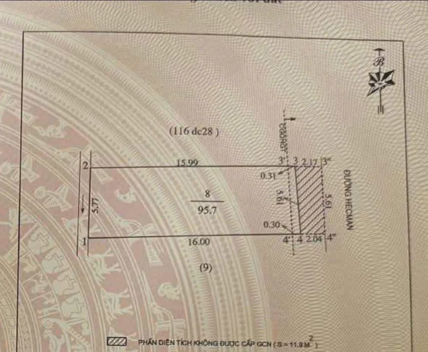 Nhà mặt đường Herman, Vinh 95.7m² giá 1 tỷ - Đầu tư sinh lời ngay!