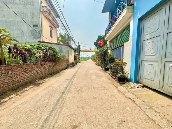 Đất nền trục chính Lương Quy, xã Thư Lâm 92.7m² - Đầu tư sinh lời hấp dẫn!