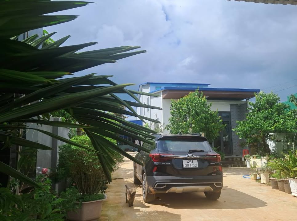 Nhà vườn chính chủ tại xã Thanh Bình, Đức Trọng 995m² giá 3.9 tỷ - Cơ hội vàng cho gia đình!