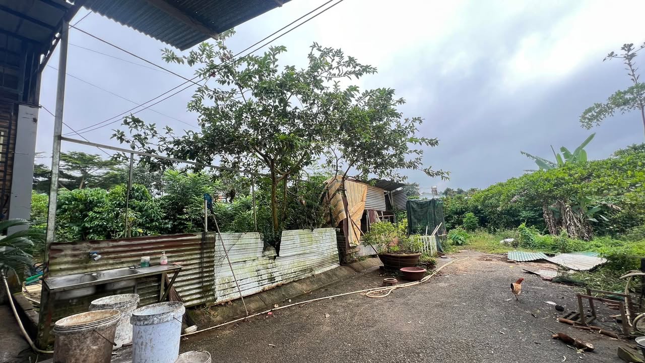 Đất nền Bảo Lộc 100m² giá chỉ 1.2 tỷ - Sở hữu ngay lô duy nhất!