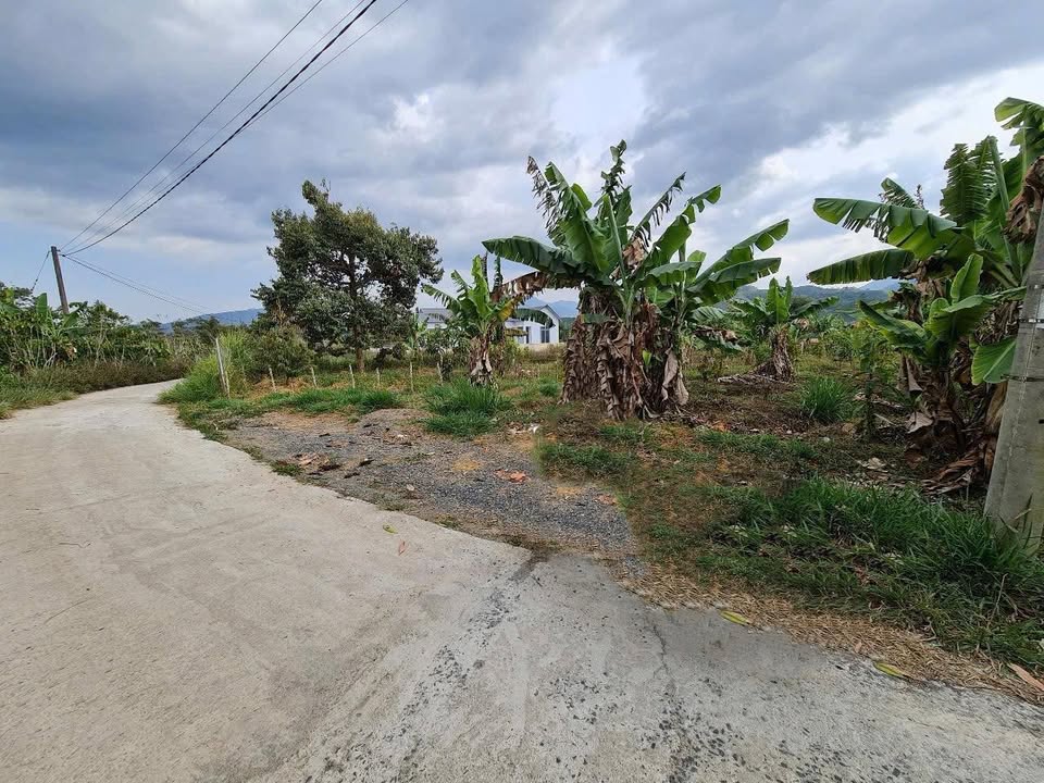 Đất mặt tiền Thôn 1, Lộc Thành 2100m² giá 2.1 tỷ - Cơ hội đầu tư tốt!