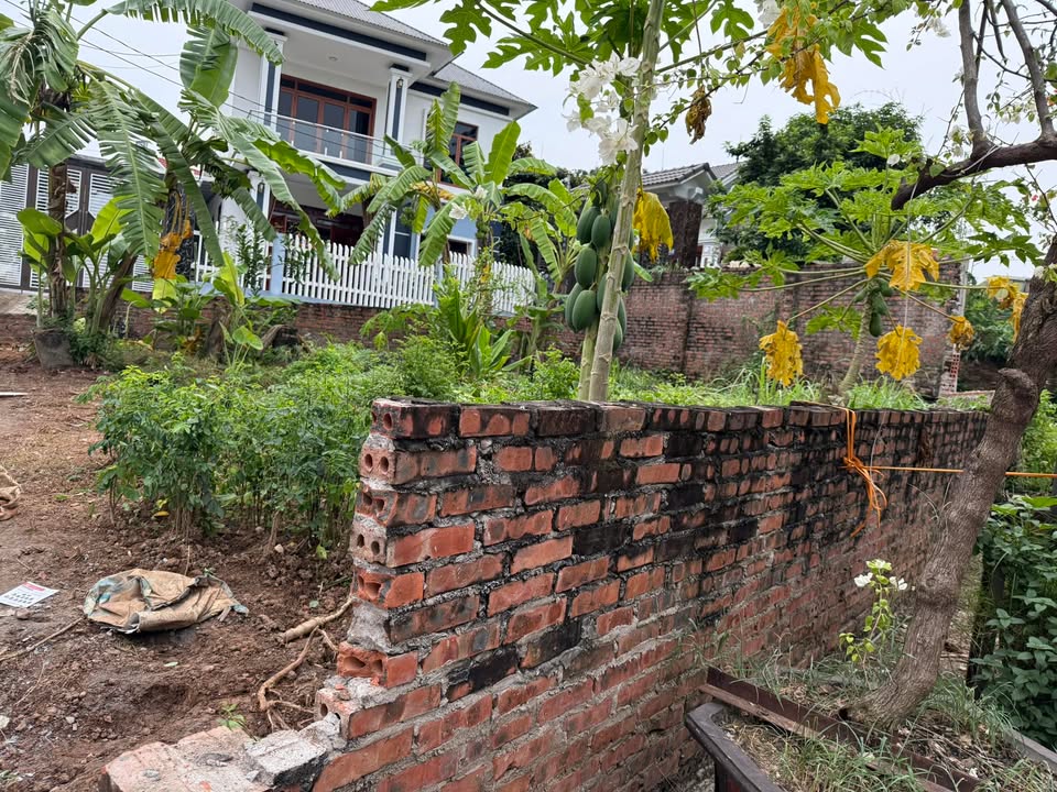 Đất nền đường Vũ Thê Lang 68m² giá 1.9 tỷ - Khu vực sầm uất, thuận tiện giao thông!