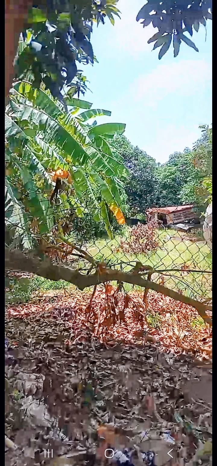 Bán đất nền mặt tiền ĐT951, Phú Tân 403m² giá 1 tỷ - Đầu tư sinh lời ngay!