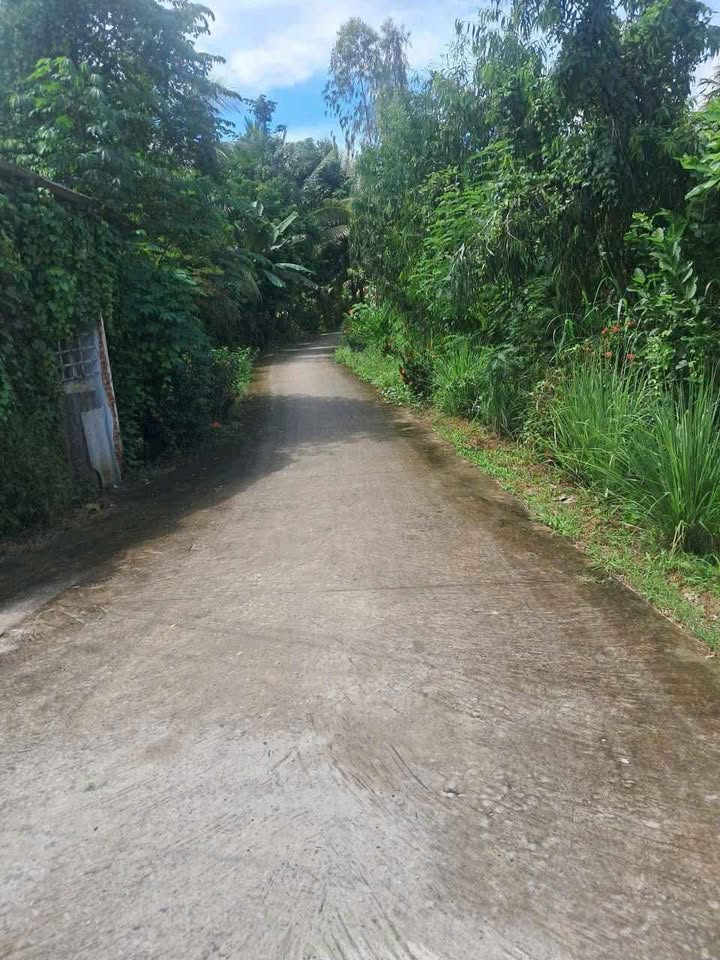 Đất nền thổ cư phường Tân Hạnh 110m² giá 3 tỷ - Đầu tư sinh lời cao!