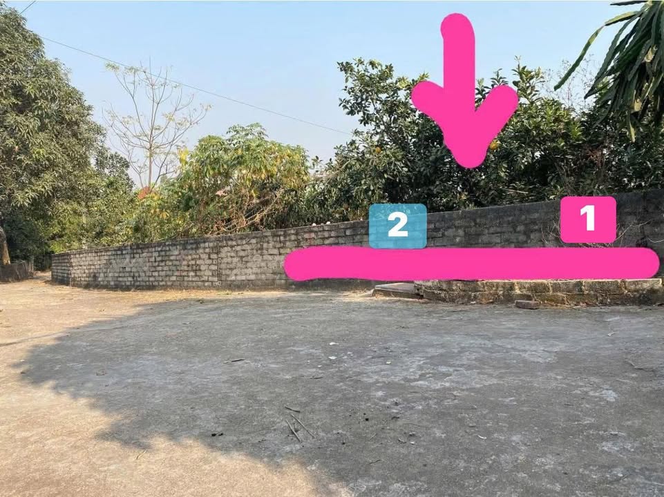 Đất nền Thanh Lương Lạng Giang 108m² giá chỉ 550 triệu - Cơ hội đầu tư hấp dẫn!