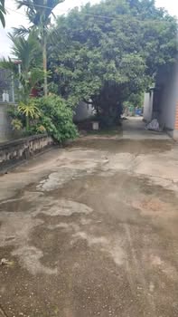 Đất nền Tam Dị, Lục Nam, Bắc Giang 403m² giá 1 tỷ - Cơ hội đầu tư tuyệt vời!