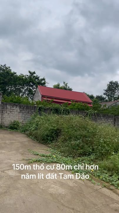 Đất thổ cư Đại Đình, Tam Đảo 150m² giá chỉ 500 triệu - View cánh đồng thoáng mát!