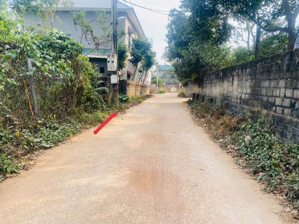 Đất thổ cư 50m² tại làng Mấu, Tam Quan, Tam Đảo 150m² - Mặt tiền thoáng đãng, giá tốt!