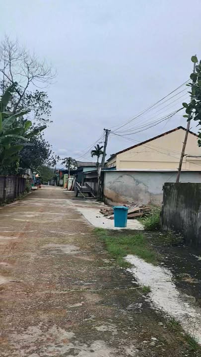 Đất nền Thái Hòa 250m² giá thỏa thuận - Mặt tiền đường 1/5 siêu đẹp!