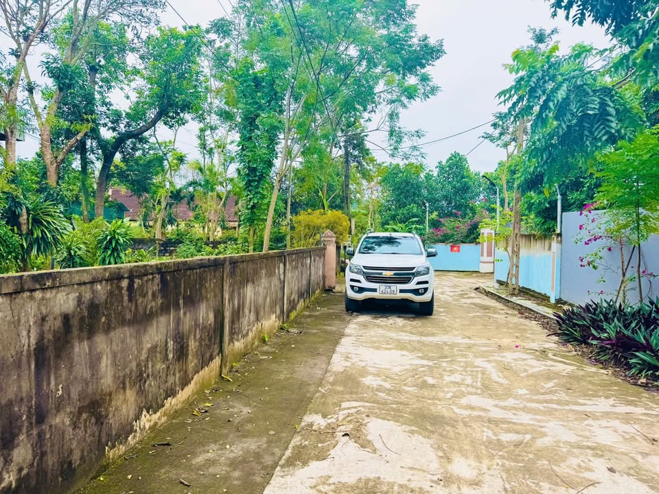 Đất nền Đồng Tâm Hòa Hiếu 245m² giá 900 triệu - Cơ hội đầu tư hấp dẫn!