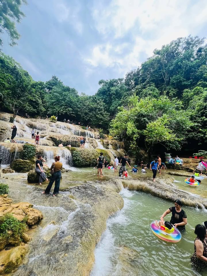 Đất trồng cây 1600m² xã Song Phương, Hoài Đức - Giá 6.4 tỷ, đầu tư sinh lời!