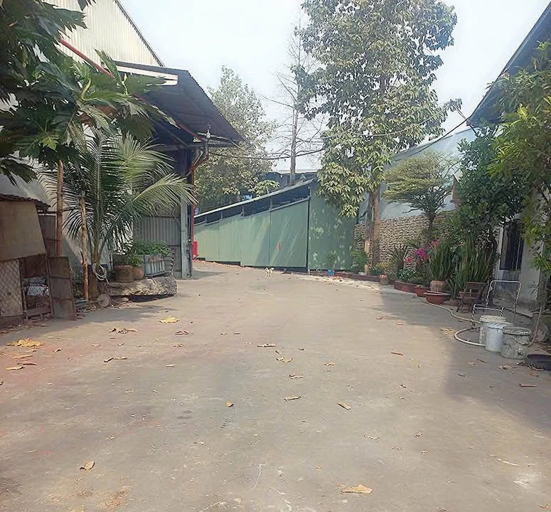 Cho thuê nhà xưởng 1.000m² gần KCN Amata - Giá chỉ 35 triệu/tháng!