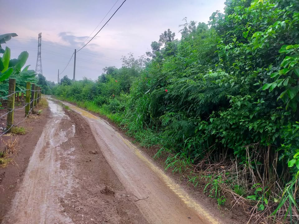 Đất vườn chôm chôm 5194m² tại xã Hưng Thịnh, Trảng Bom - Giá chỉ 2.76 tỷ!