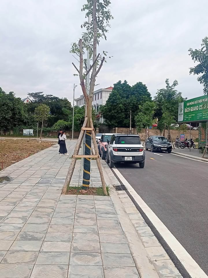 Đất nền KDT Cầu Trúc, Phường Bách Quang 105m² giá 1.7 tỷ - Cơ hội đầu tư sinh lời!