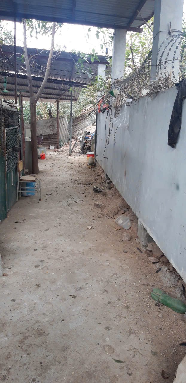 Đất nền Hạp Lĩnh, Bắc Ninh 84m² giá chỉ 1 tỷ - Tiềm năng đầu tư lớn!