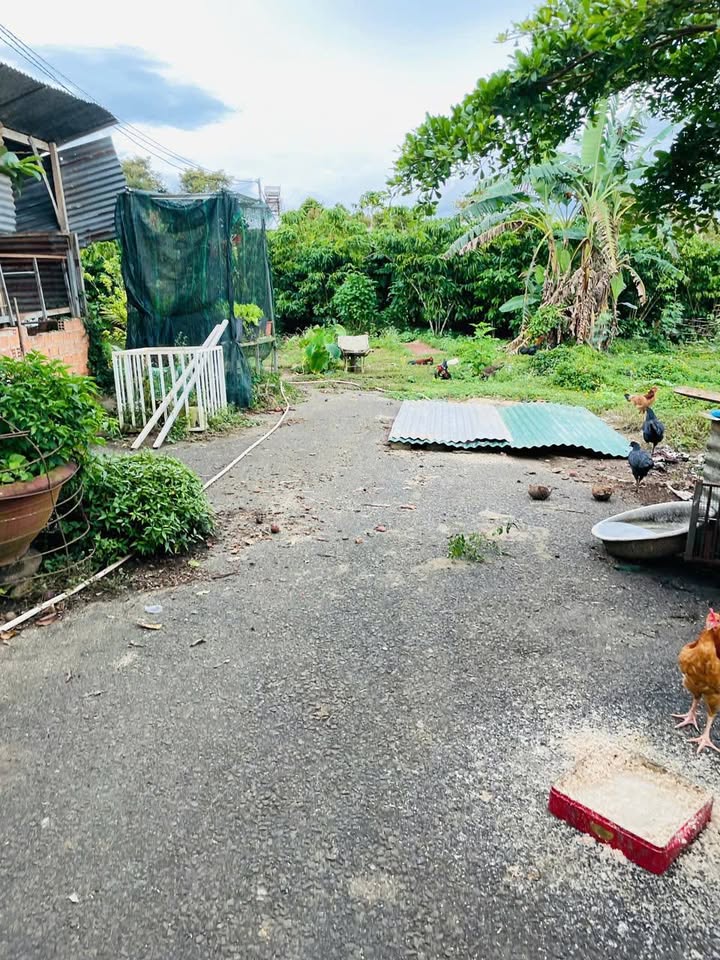 Đất Tái định cư Lộc Sơn Bảo Lộc 100m² chỉ 1.2 tỷ - Sổ hồng chính chủ!