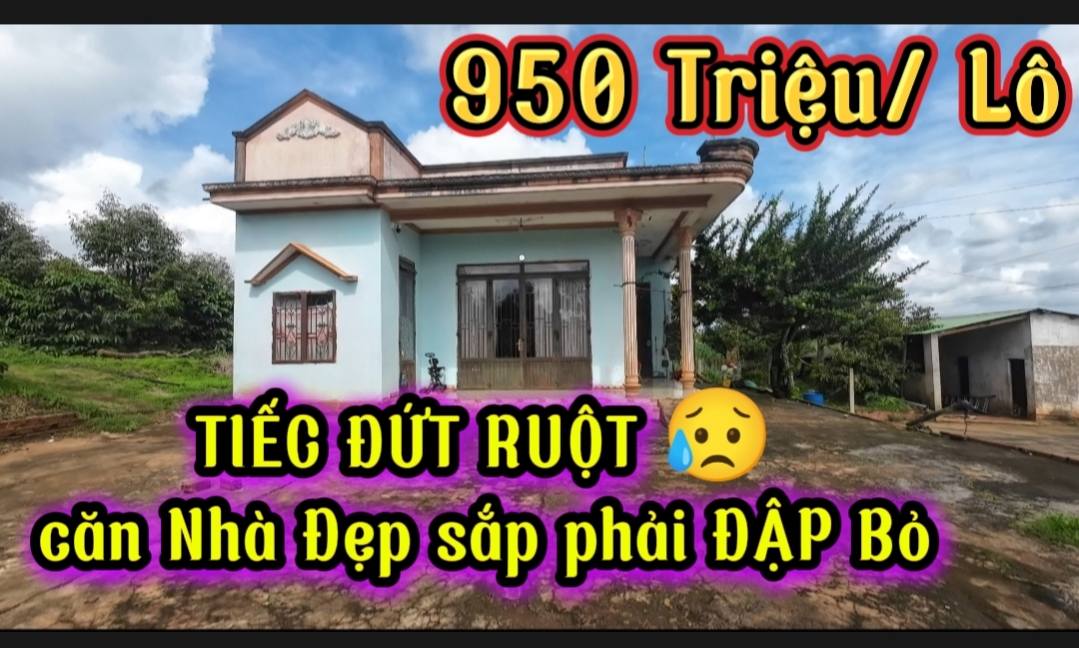 Đất thổ cư Liên Hà Lâm Hà 8000m² giá 2.592 tỷ - Cơ hội đầu tư lý tưởng!