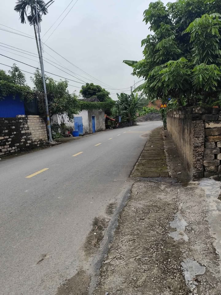 Đất đẹp mặt đường Kì Sơn, xã Việt Khê, 86m² chỉ 1 tỷ - Cơ hội đầu tư tuyệt vời!